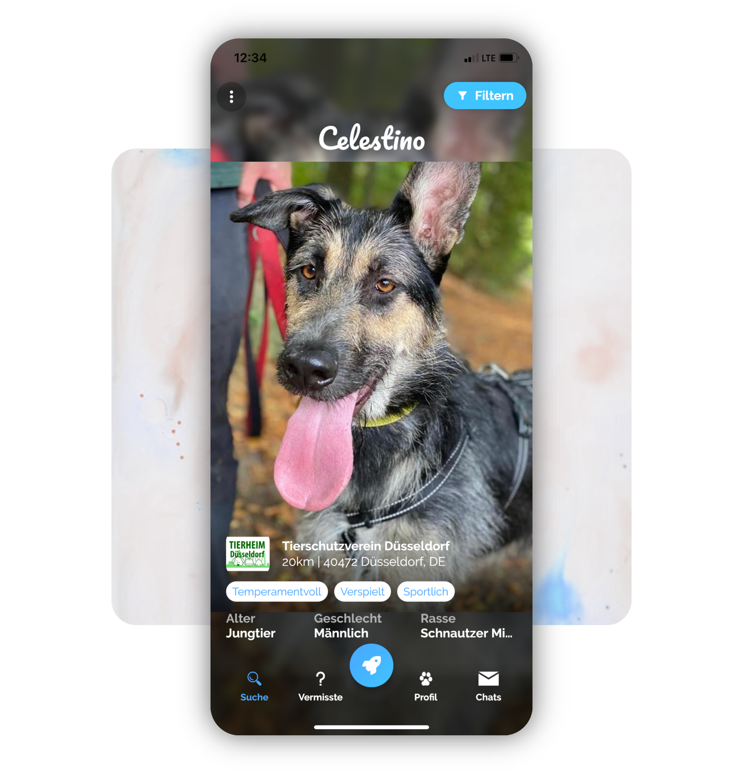 PetFellows – Celestino